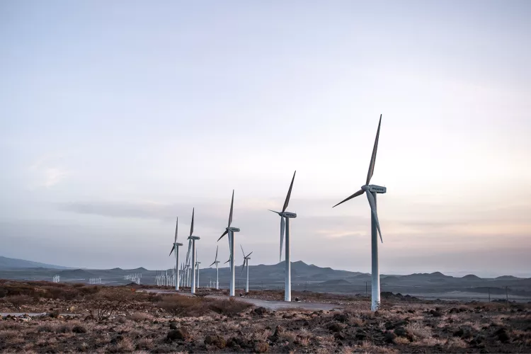 alt="Onshore wind turbines © Vestas"