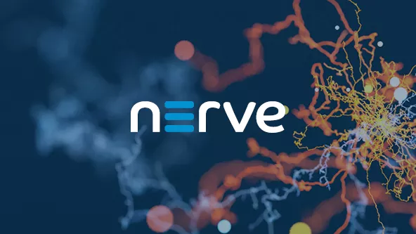 Modular Offering Nerve featured image