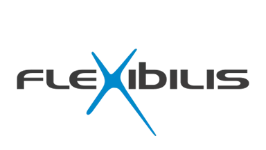 Flexibilis Logo Uebersicht 384x216 3